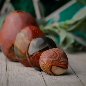 Ocean Jasper Palm Stone, Polished Gemstone, Polychrome Jasper