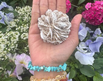 Rose Des Désert Minérale - Pierre évaporitique Gypse 8 Cm - Spécimen Naturel