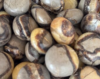 Duże kamienie kieszonkowe Septarian – 1 funt, 2 funty, 3 funty – polerowane kryształy lecznicze dla kolekcjonerów, do medytacji i dekoracji