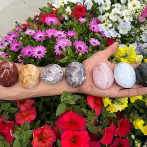 May include: A hand displays seven polished, oval-shaped stones in varying colors: red-brown, yellow, speckled gray, purple, pink, light blue, and black. The stones are set against a backdrop of colorful flowers, including pink, red, and yellow blooms.