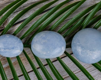 Puede incluir: Tres piedras lisas, ovaladas y de color azul claro sobre un fondo de hoja de palmera verde.