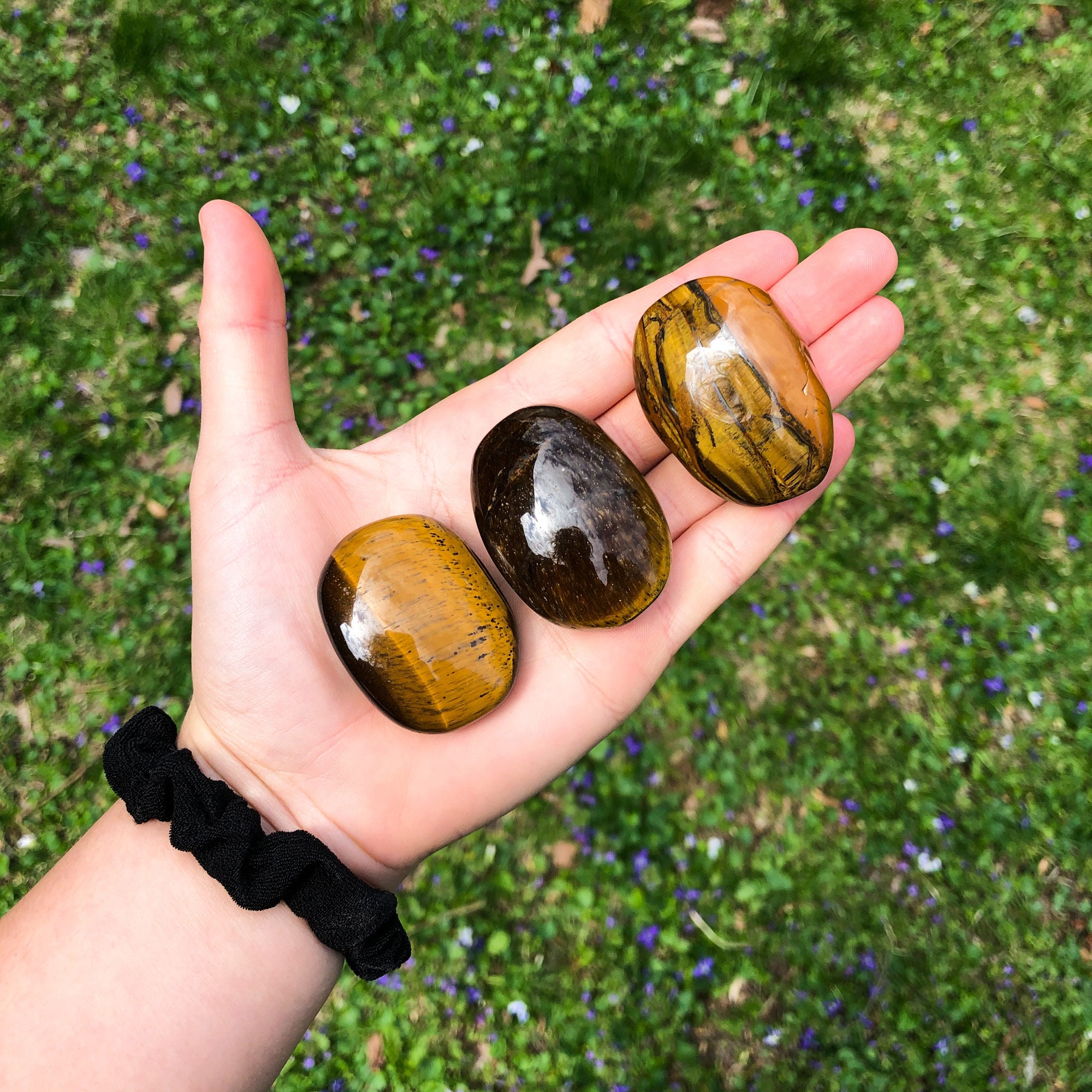 Tigers Eye Palm Stone Polished Pocket Stone