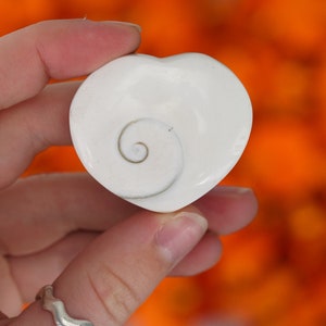Shiva Eye Shell Heart