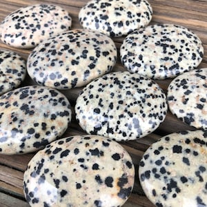 Dalmatian Jasper Palm Stone