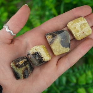 Tumbled Septarian Polished Stone