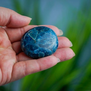 Large Apatite Palm Stone image 2