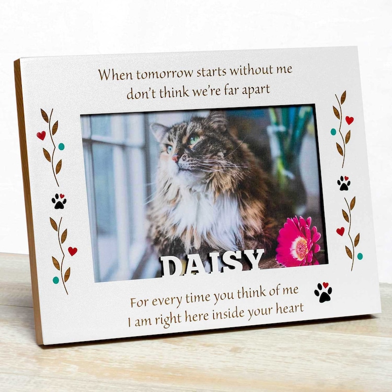 Cat Picture Frame Personalized Cat Frame Pet Memorial Frame Etsy