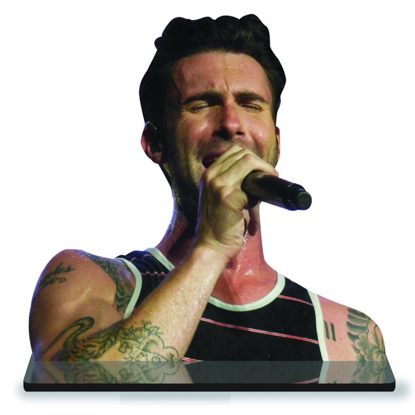 Adam Levine "Hank Ups"