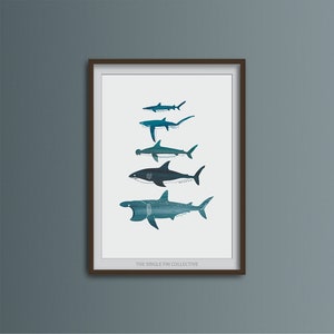 Art print of shark species, marine themed wall art, picture of sharks, sea life inspired art, coastal decor, ocean home