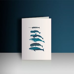 Carte de voeux sur le thème des baleines, carte d'anniversaire inspirée de la vie marine, carte des espèces de baleines, carte inspirée de la plongée sous-marine