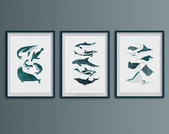 Sea Life Art Print Set: Dolphin, Ray & Seal Species Posters