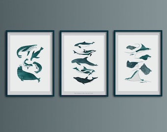 Sea life art print set of 3, dolphin porpoise ray and seal species, sealion wall art, rays artwork, animal inspired posters