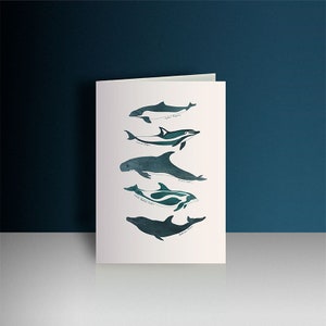 Dolphin porpoise greeting card, sea life birthday card, marine species, ocean animal card