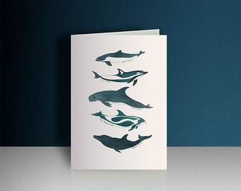 Dolphin porpoise greeting card, sea life birthday card, marine species, ocean animal card