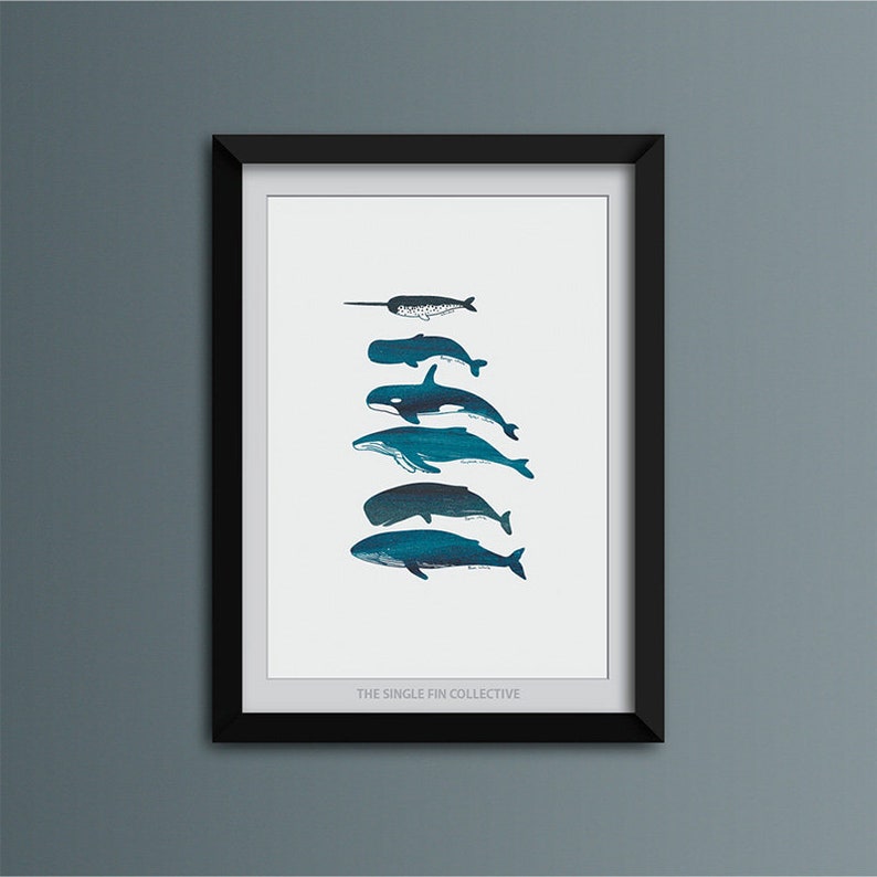 Giclee art print of whale species, marine themed wall art, picture of whales, Sealife inspired art image 5