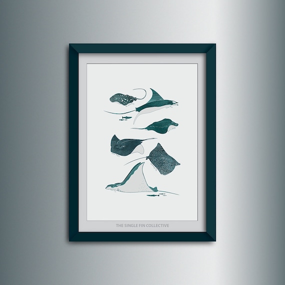 Giclee Kunstdruck Von Strahlarten Marine Themen Wandkunst Etsy