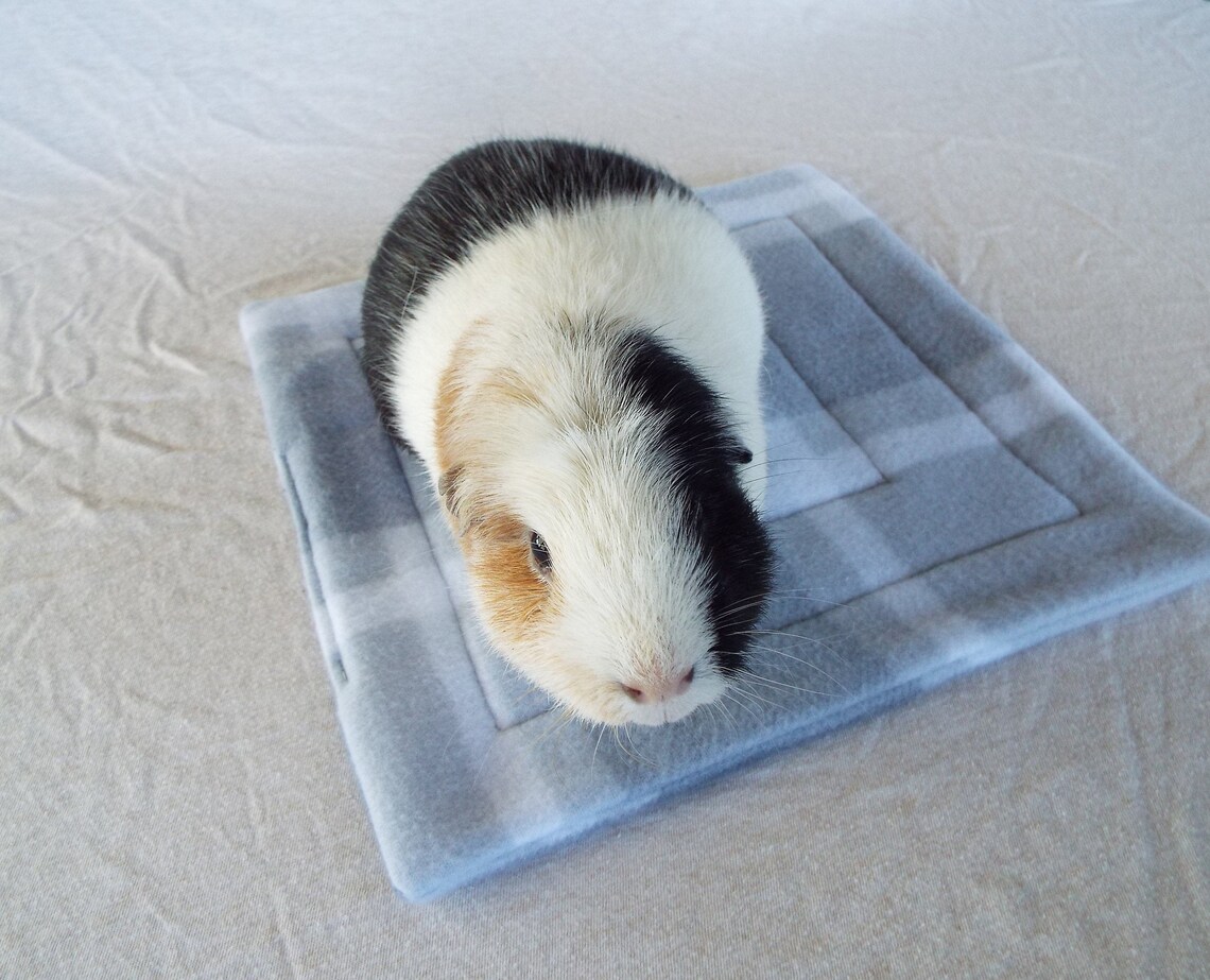 Guinea Pig Fleece House Pad Cage Pad Guinea Pig Cage Etsy