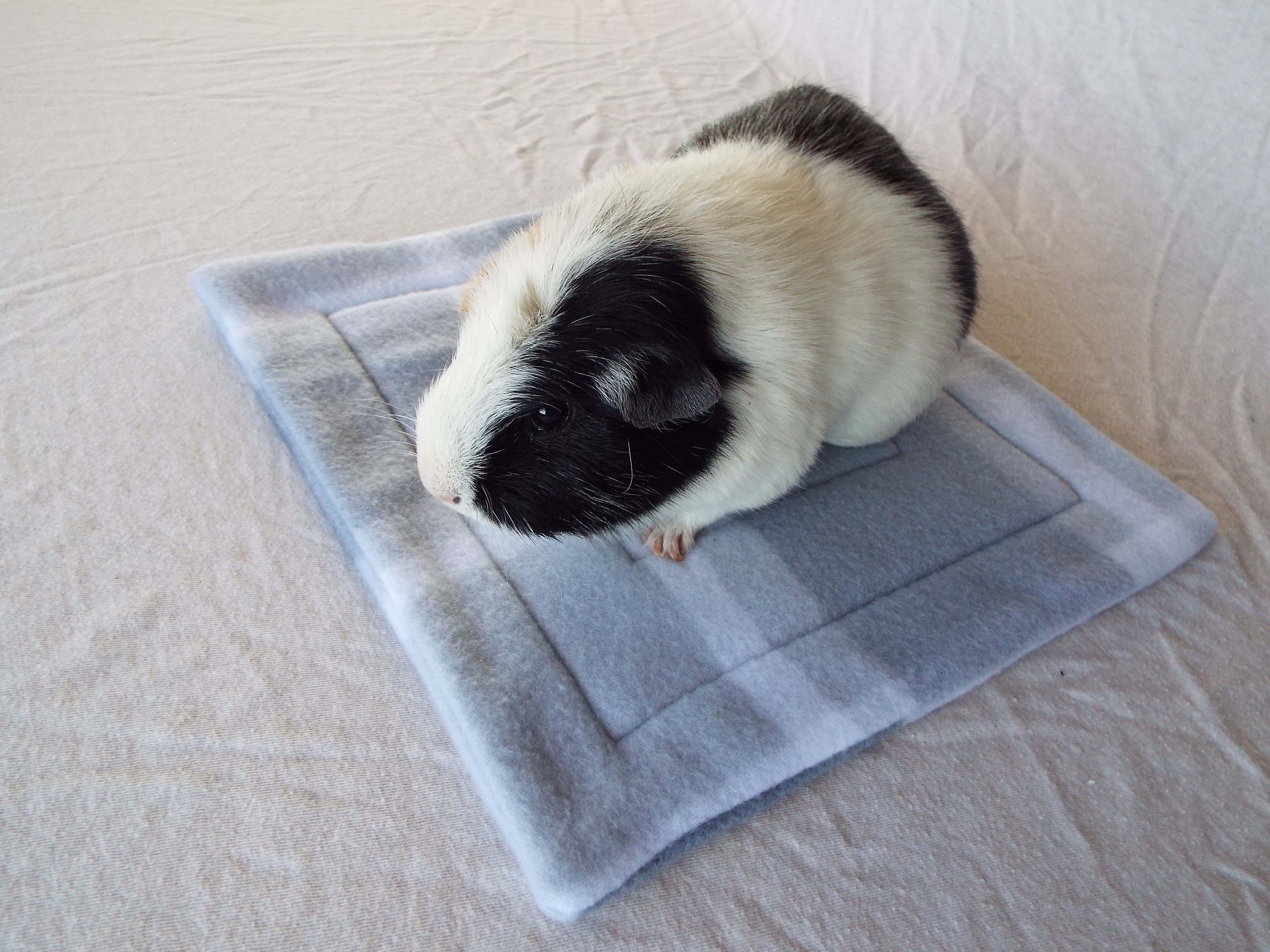Guinea Pig Fleece House Pad Cage Pad Guinea Pig Cage Etsy