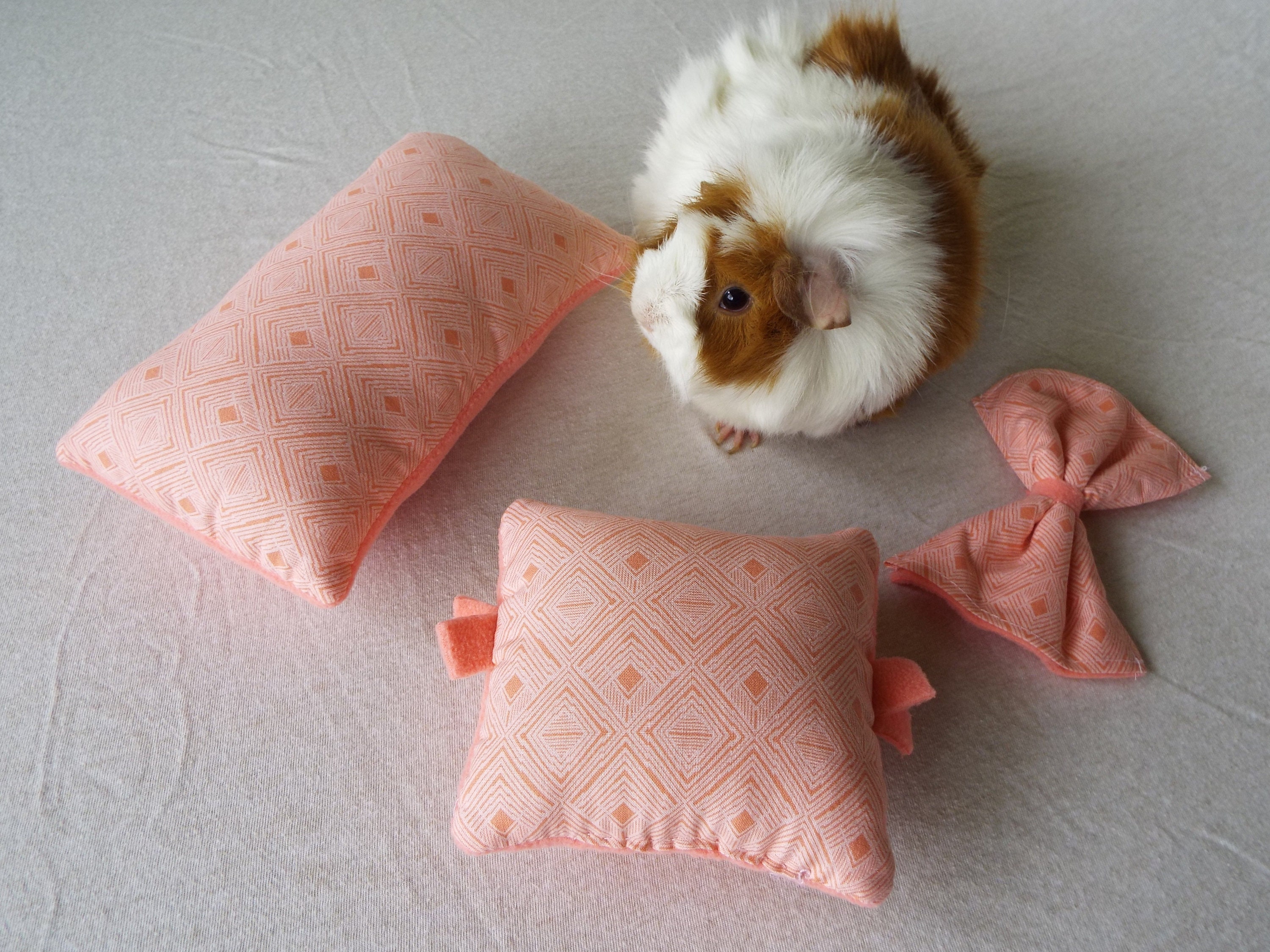 Guinea Pig Fleece Pillow Set Bunny Toy Rabbit Toy Pet Etsy