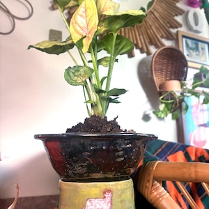 Macetero y soporte para plantas Beam Me Up