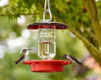 Hummingbird Feeder Bee Proof with 8 oz Clear Bottle with Red Glass Plate