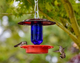 Hummingbird Feeder Bee Proof with choice of 8 oz Clear or Cobalt Bottle with Red Glass Plate