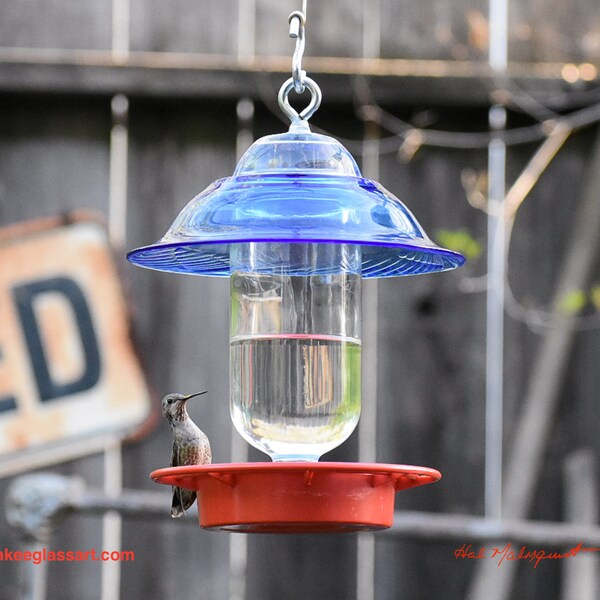 Bee Proof Hummingbird Feeder Etsy