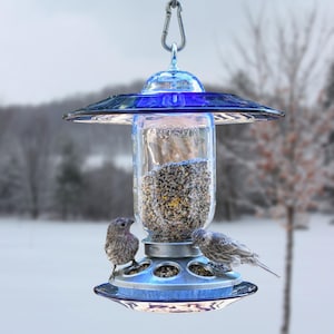 Royal blue glass hanging bird feeder with songbirds feeding in a snowy winter landscape