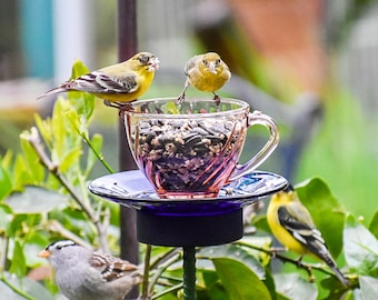 Bird Feeder Handmade, Bird Bath, Great Gift for Her or Mothers Day Gift