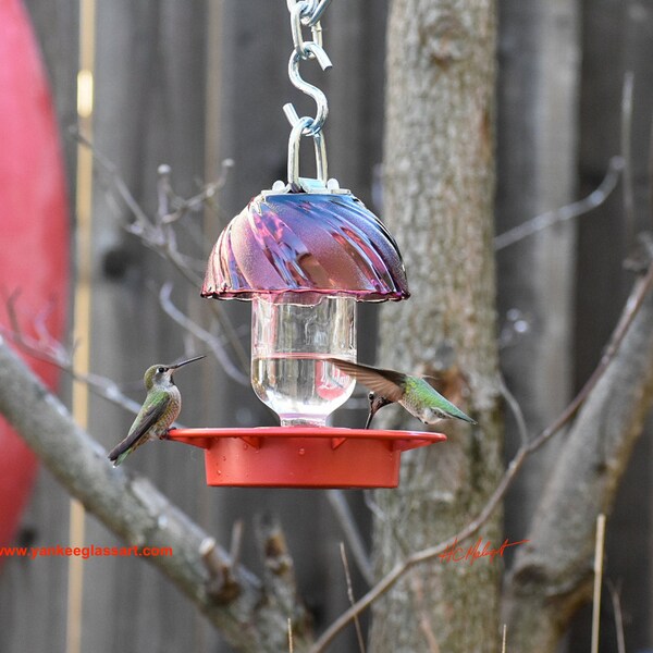 Bee Proof Hummingbird Feeder Etsy
