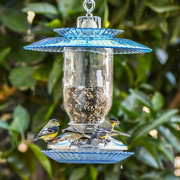 Outdoor Bird Feeder Glass Mason Jar Handmade Light Blue "Sky Blue"