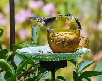 Bird Feeder, Tea cup, Bird Bath, Gift for Her or Mothers Day Gift, Easy to Install