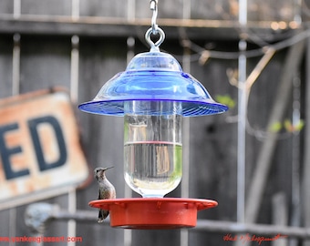 Blue Glass Hummingbird Feeder: No Drip, Bee Proof, 16 oz