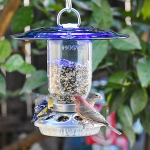 Mason Jar Bird Feeder: 32 oz Glass, Galvanized Steel, Handmade USA