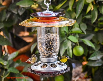 May include: A glass bird feeder with a red, yellow, and clear glass top. The feeder is filled with birdseed and has two small birds perched on the rim. The feeder is hanging from a tree branch.