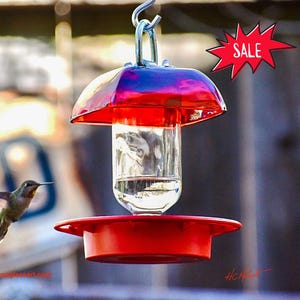 Best Hummingbird Feeder: No Drip! Ruby Red Glass