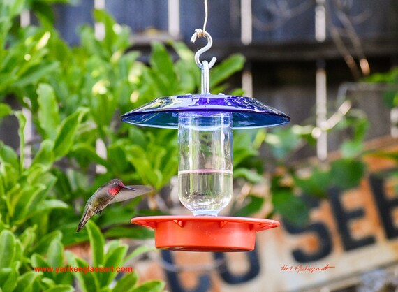 Mangeoire à colibris, facile à nettoyer, bouteille en verre -  Canada