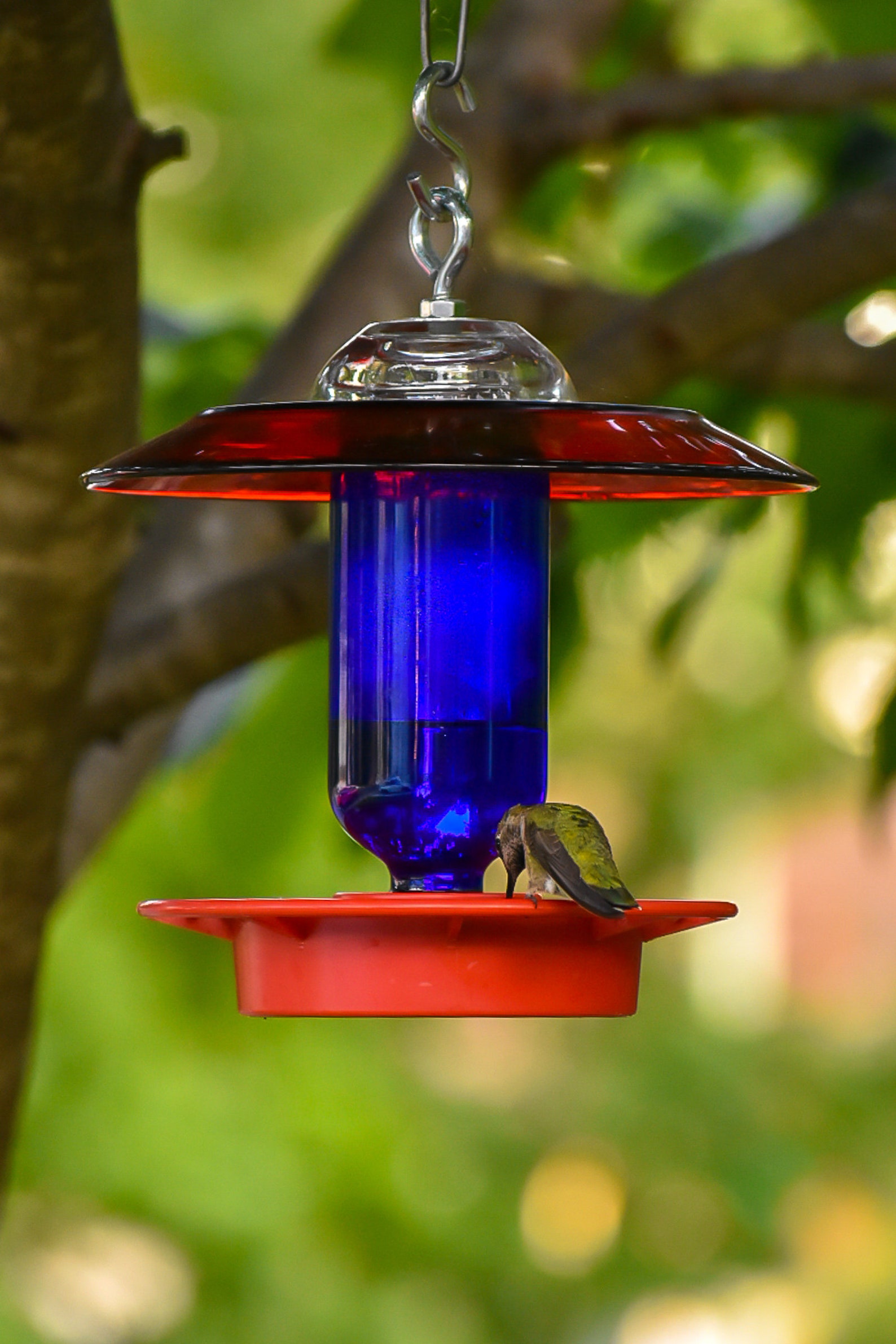 Best1 Hummingbird Feeder Replacement Bottom Etsy