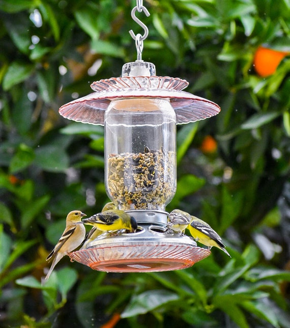 Mangeoire à oiseaux suspendue dans un bocal en verre, fait main, ciel rose,  facile à accrocher -  France