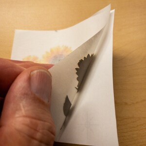May include: A white sheet of paper with a sunflower design printed on it. The paper is being peeled back to reveal a black silhouette of a sunflower.