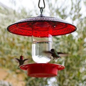 Hummingbird Feeder Bee Proof Drip Free with 16 oz Clear with Larger Cover