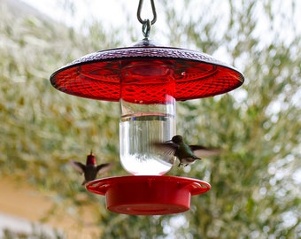Hummingbird Feeder Bee Proof Drip Free with 16 oz Clear with Larger Cover