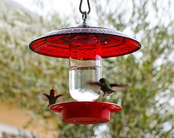 Hummingbird Feeder Bee Proof Drip Free with 16 oz Clear with Larger Cover