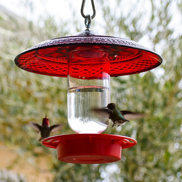 Hummingbird Feeder Bee Proof Drip Free with 16 oz Clear with Larger Cover