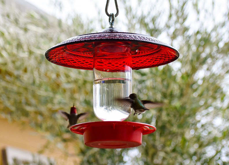 May include: Red hummingbird feeder with two hummingbirds in flight. The feeder has a red glass top and a clear glass reservoir.