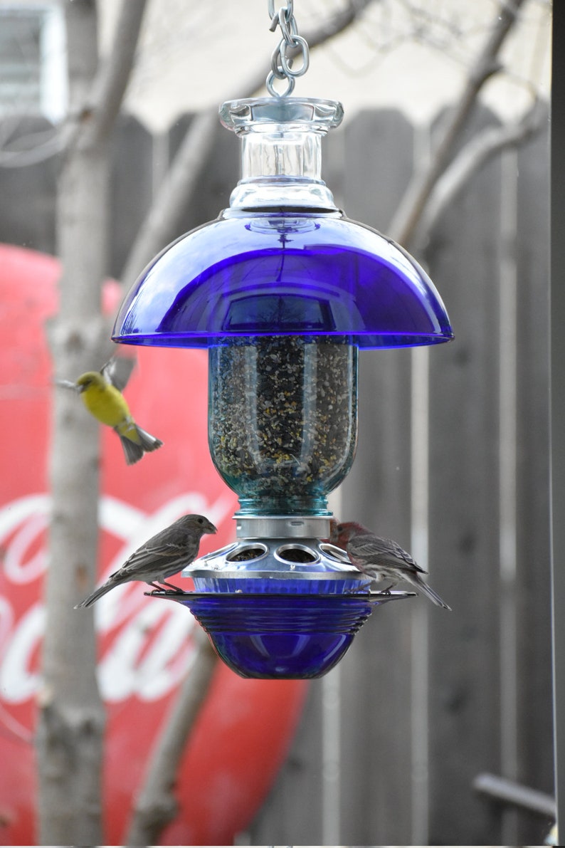 Handmade Mason Jar Cobalt Hanging Bird Feeder Clear 1 2 Etsy