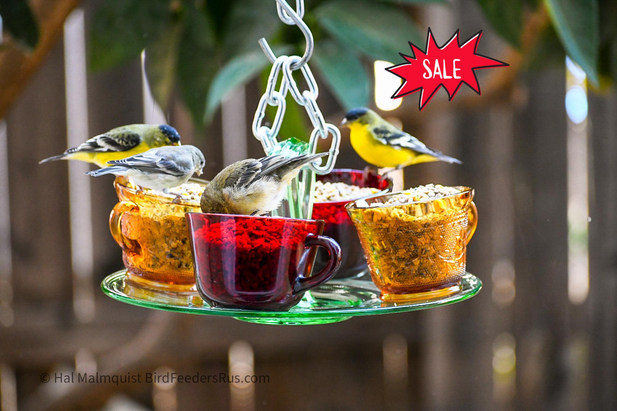 How to Hang Teacup Bird Feeder: Easy DIY Guide