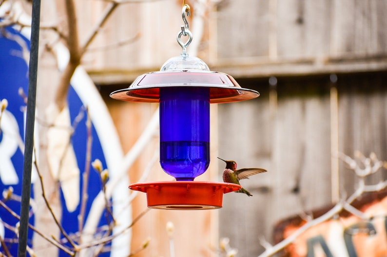 Hummingbird Feeder With No Dripbee Free Cobalt Blue 16 Oz Etsy