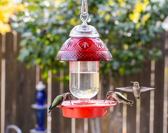 Bee Proof Drip Free Hummingbird Feeder with Clear 16 oz Bottle and Ruby Red Glass Bowl