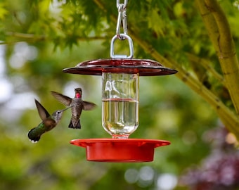 Bee Proof Hummingbird Feeder: 8 oz Clear or Cobalt Bottle, Red Plate